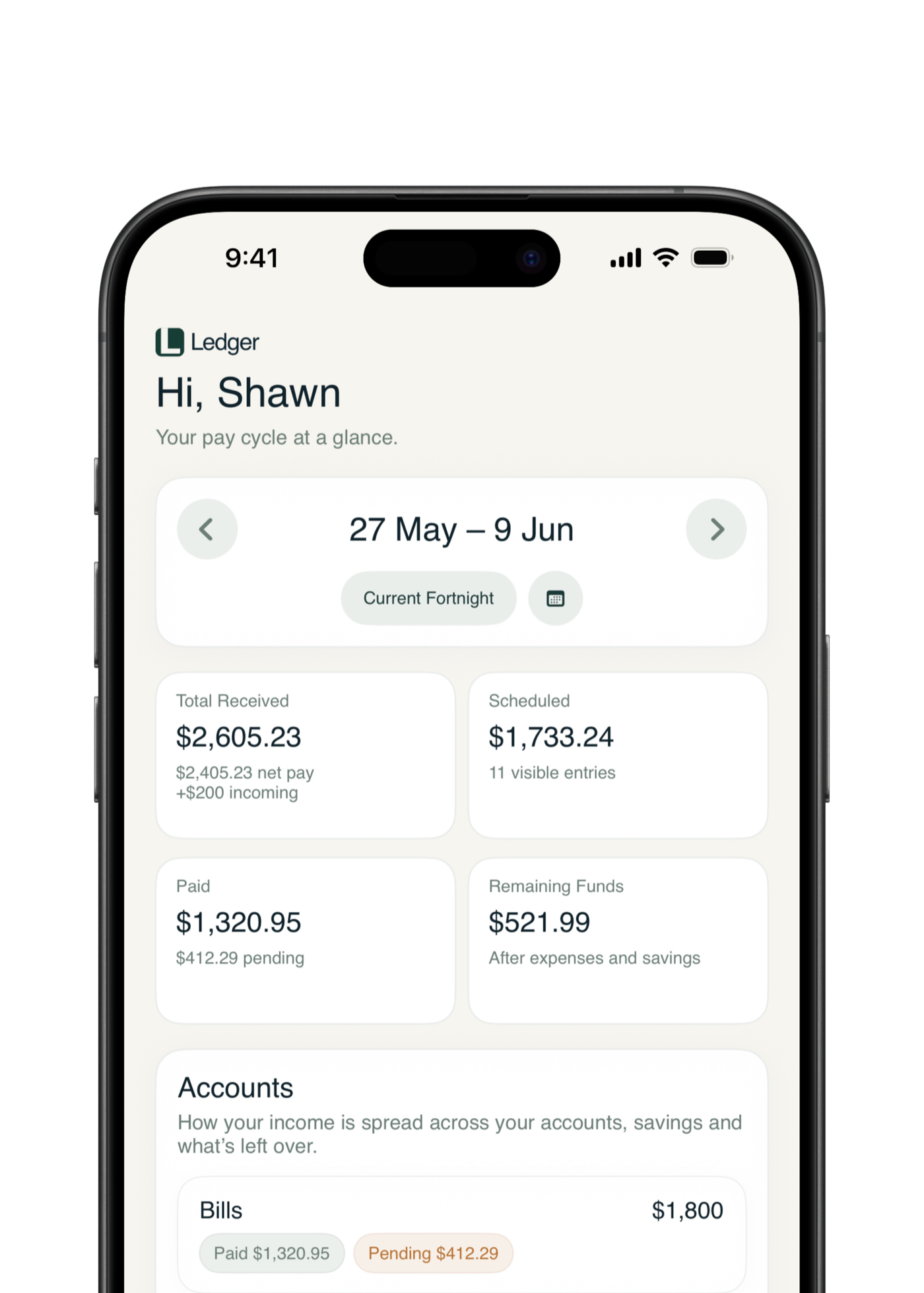 Subscriptions Ledger Ledger - Your Budget Planned Around Payday